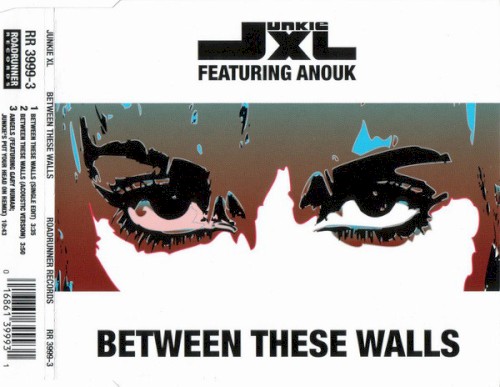 Junkie Xl Feat. Anouk